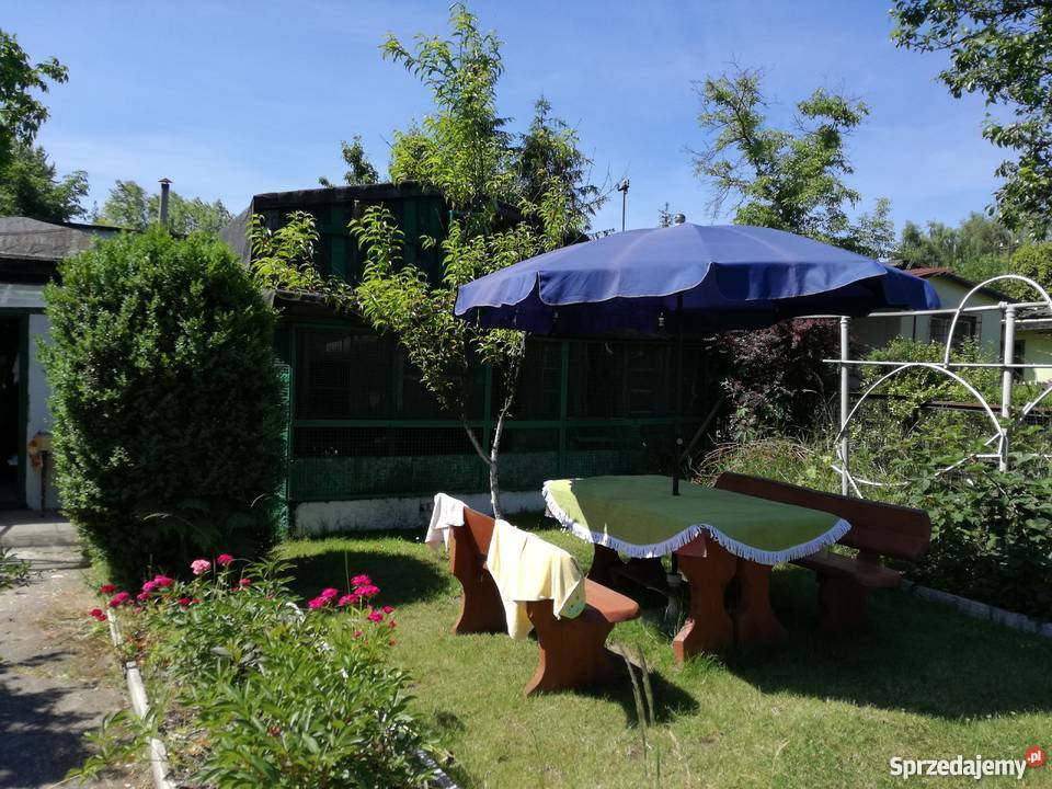 Ogródek działkowy ROD Jedność