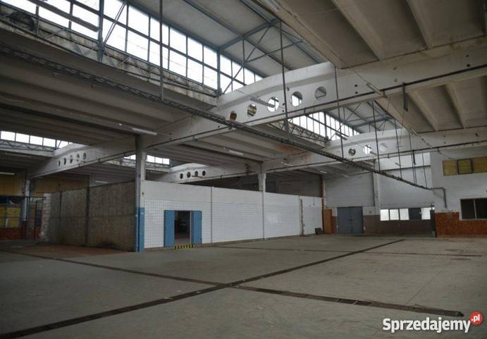 Hala magazynowo produkcyjna Prusice 8 PLNm2 Prusice