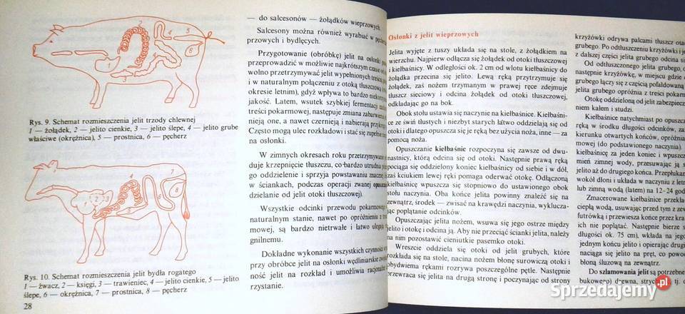 Domowe przetwory z mięsa Władysław Poszepczyński Chełm