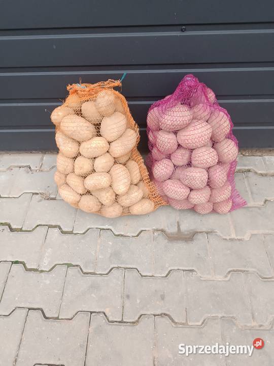 Sprzedam ziemniaki BellarosaOtolia Rośliny okopowe Goraj sprzedam