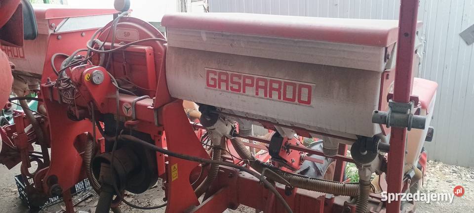 Siewnik do kukurydzy gaspardo sp540 Gaspardo opolskie Gana