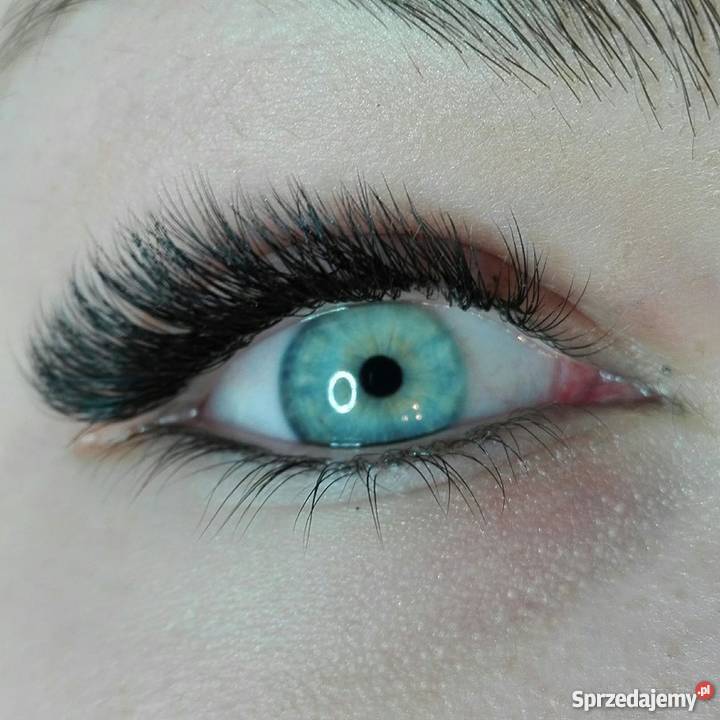 profesjonalna stylizacja rzęs Pielęgnacja, uroda, zdrowie Starogard Gdański