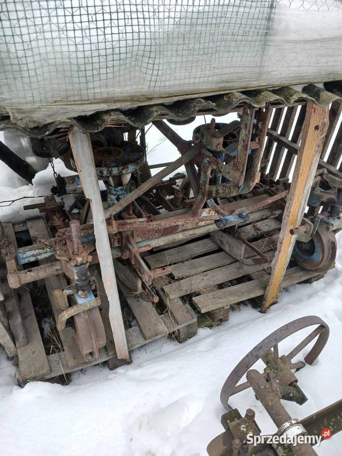 Sadzarka do ziemniaków Rybie