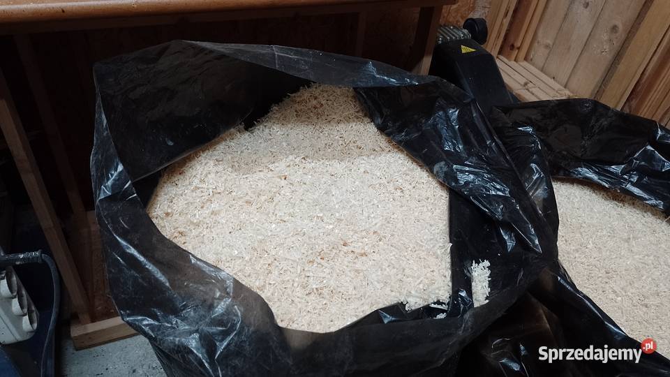Trociny 120L suche bez pyłu z drewna suszarni Roczyny