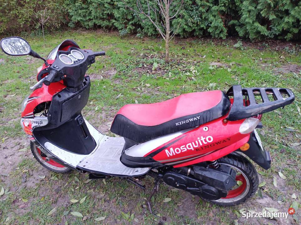 Kingway Mosquito Izbica