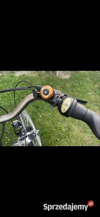 Rower SAXONETTE DELUXE M Dobruchna
