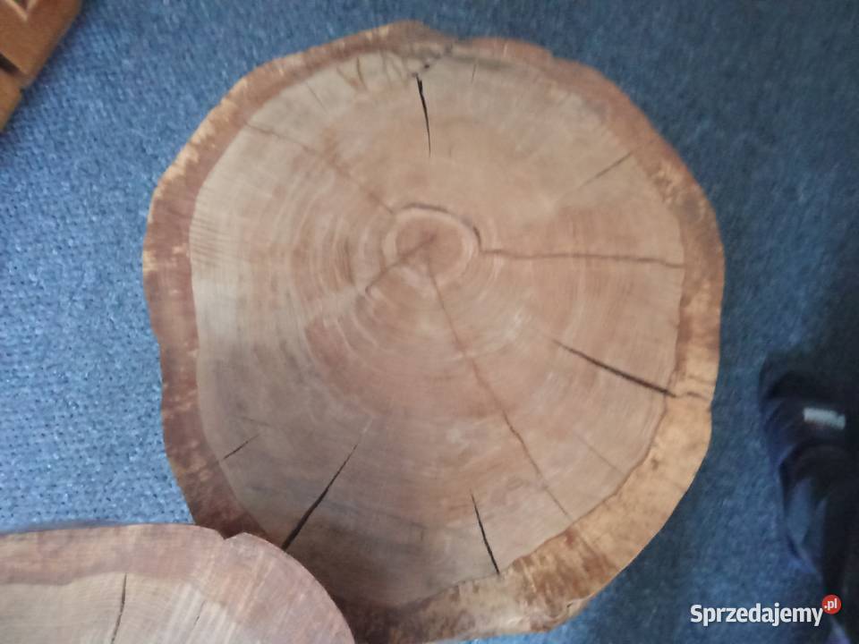 Plastry drewna na stoliki kawowe Wieluń