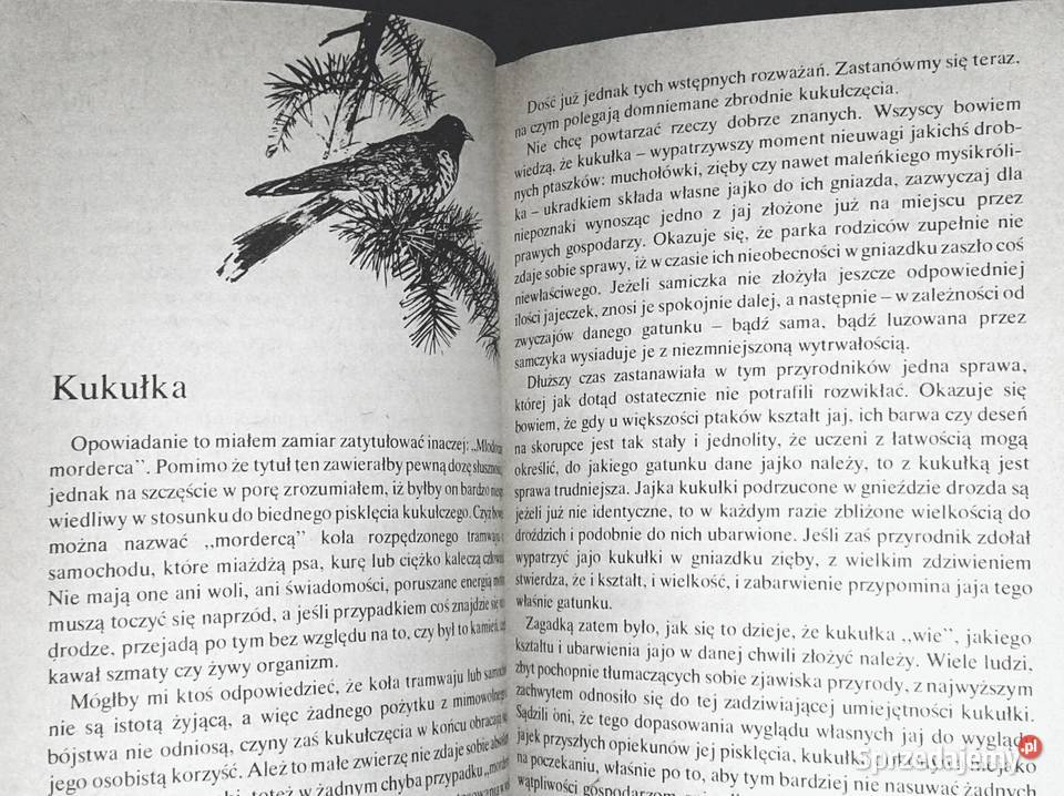 Hipopotam i spółka Jan Żabiński