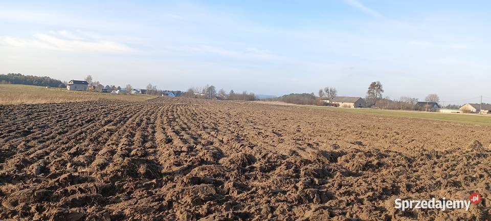 Działka w Gowinie k Wejherowa Gowino sprzedam