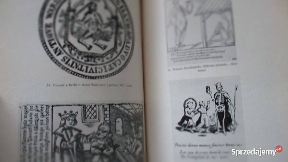 Literatura polska średniowiecza do pozytywizmu Łódź