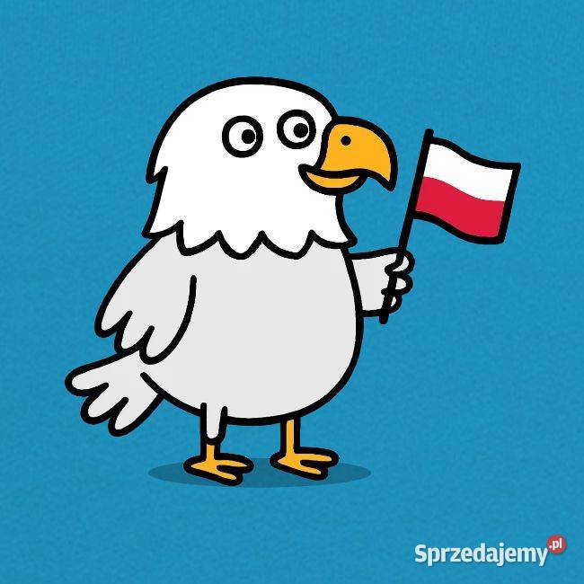 Bluza z kapturem patriotyczna młodzieżowa Polska Kraków sprzedam