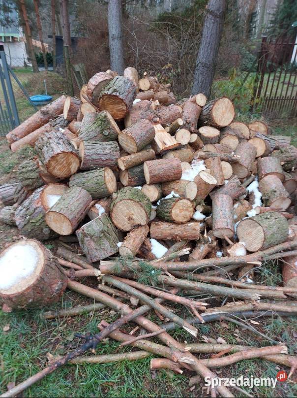 Oddam drzewo na opał sprzedam