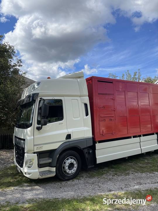 DAF CF 370 do żywca zwierząt Kielce