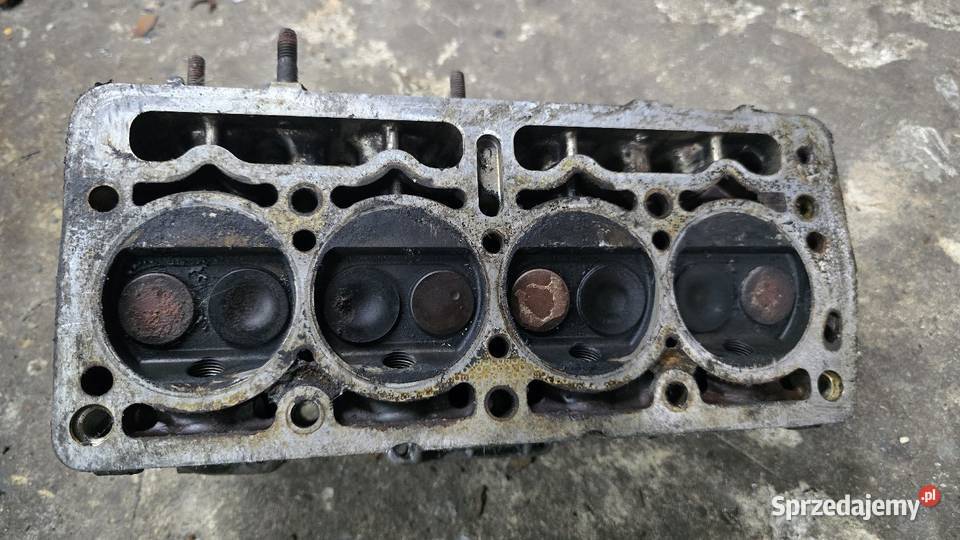 Cinquecento Seicento Uno 900 głowica Świętoszówka