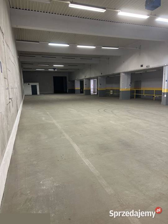 3 MIESIĄCE 12 CENY HalaMagazyn 1320 m Łódź