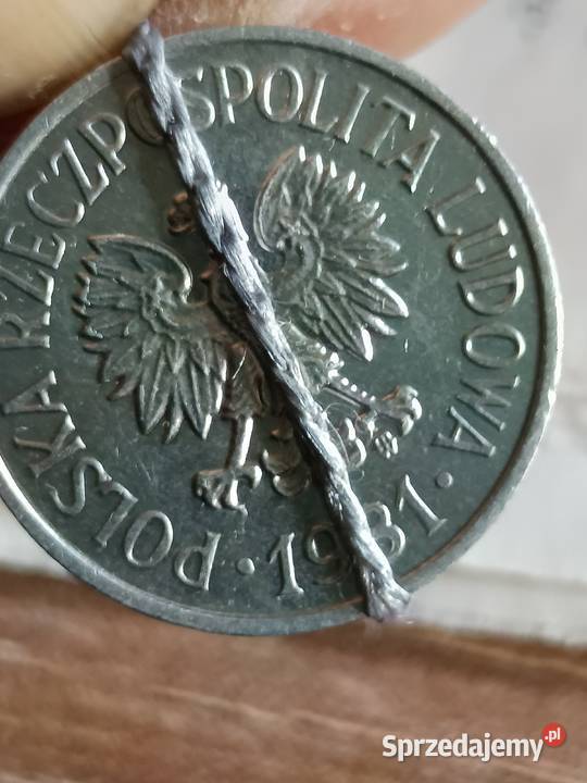 Sprzedam 20 gr 1981 r Chełm