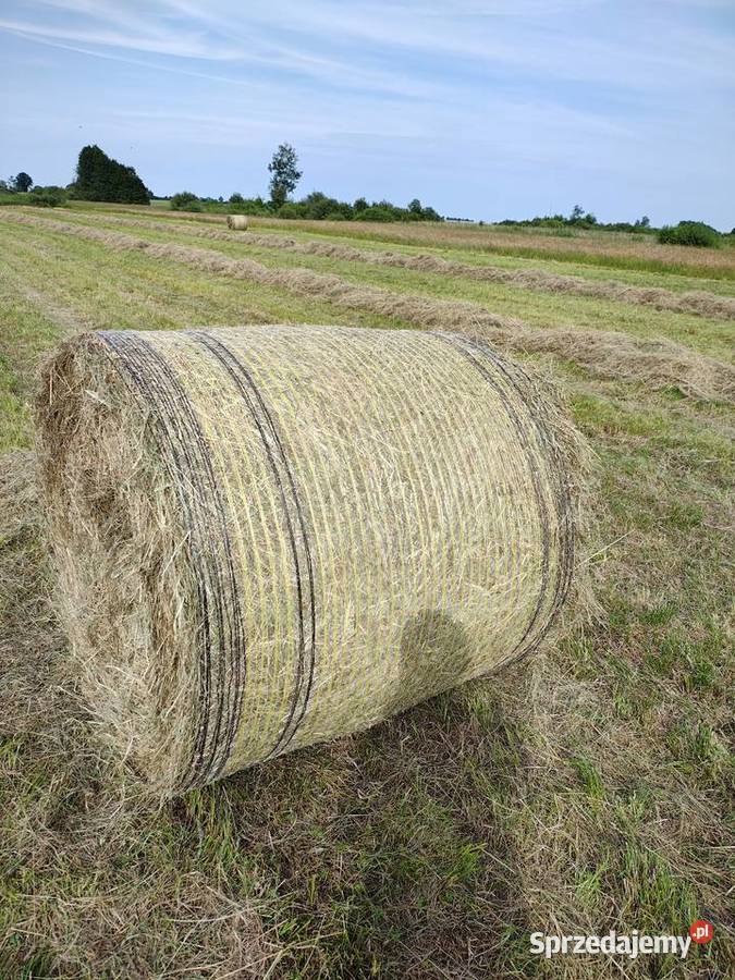Siano w belach 120x120 1 pokos 2025 lubelskie Ostrów Lubelski sprzedam