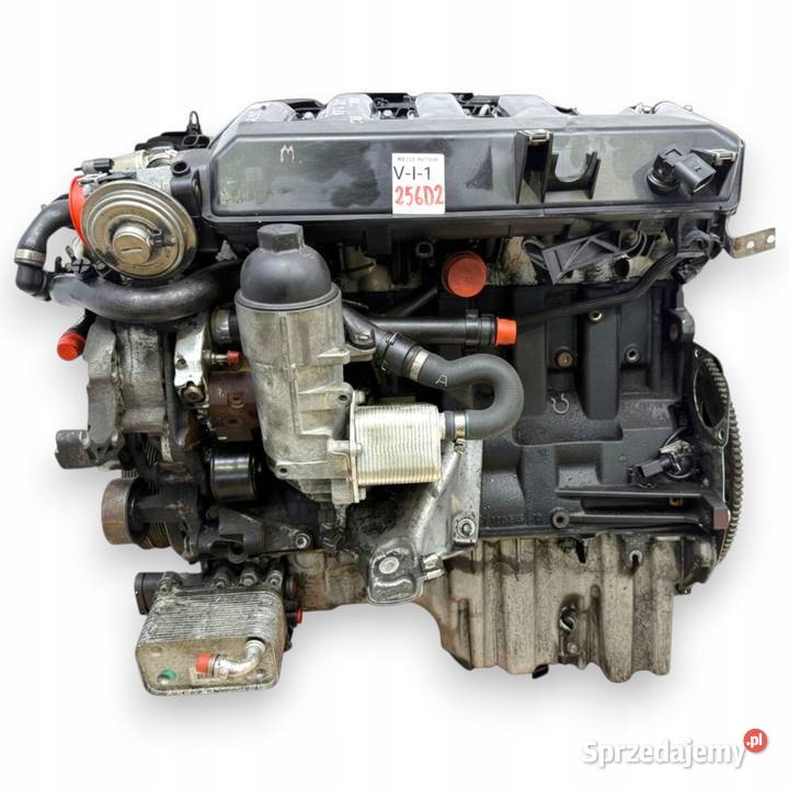 SILNIK M57D25 256D2 BMW E60 E61 25 D 177 M57 169 osobowe lubelskie Chełm
