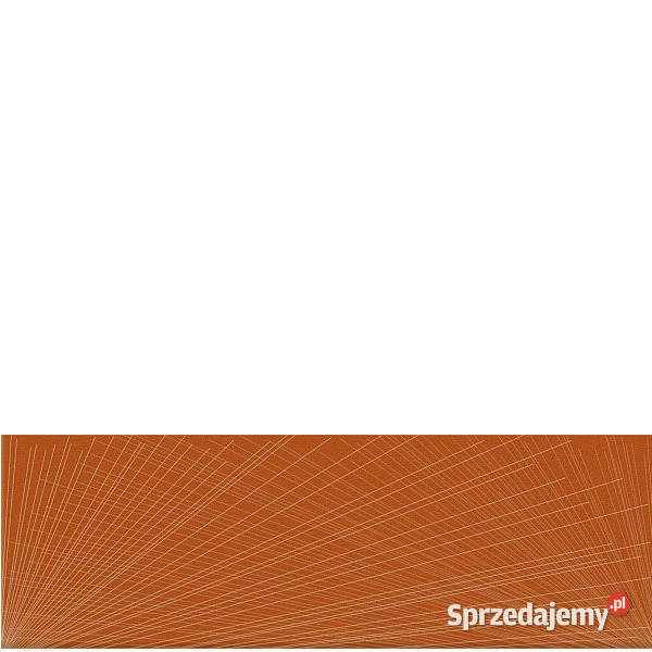 Dekor Yoshioka arancione Szklane 20 x 60 Paradyż Białogard