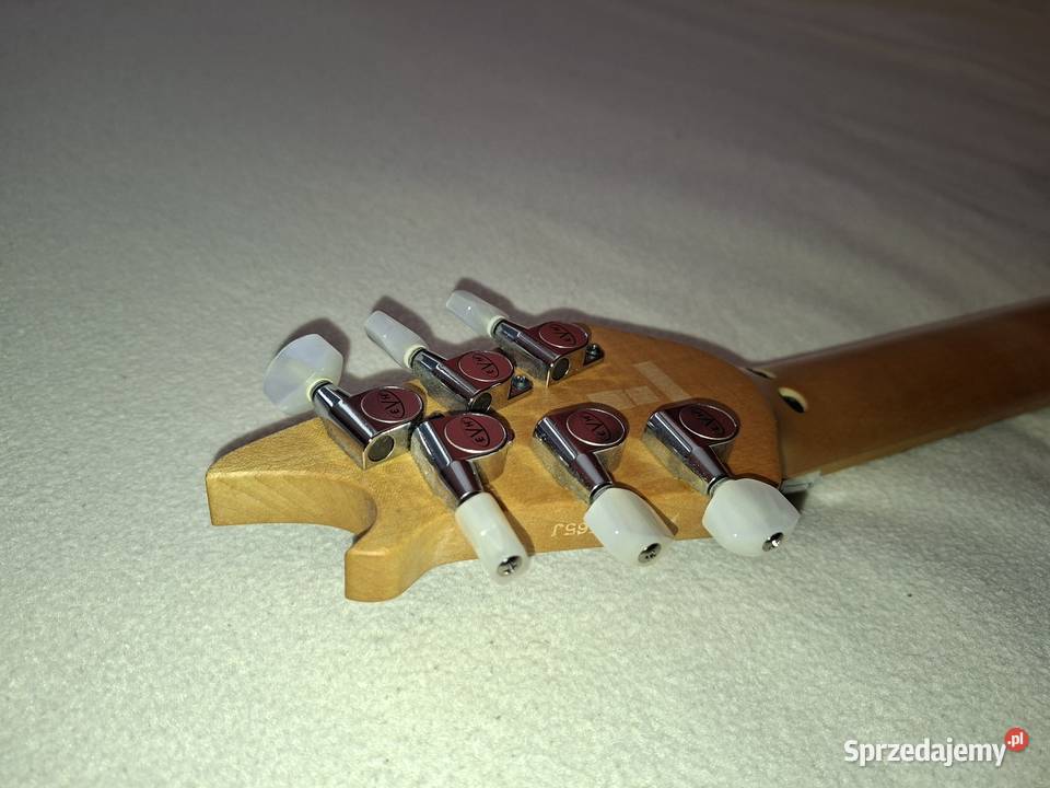 EVH WOLFGANG SPECIAL TBS