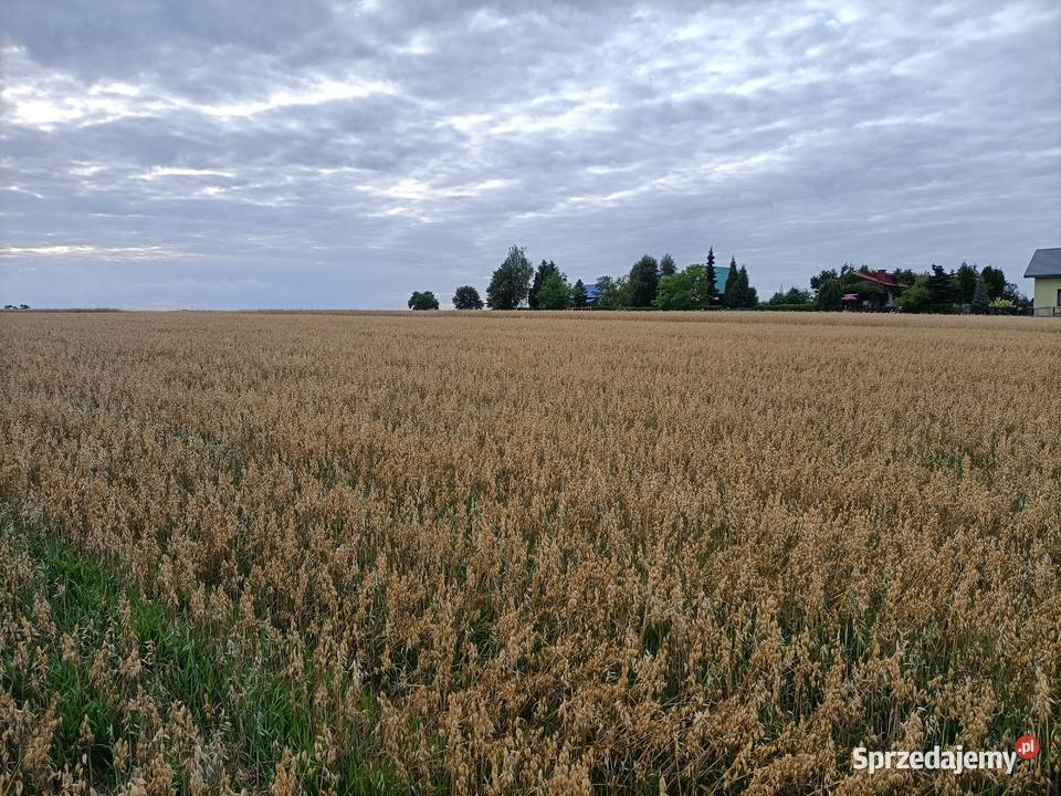 Działki rekreacyjne z widokiem na zalew Miłkowice