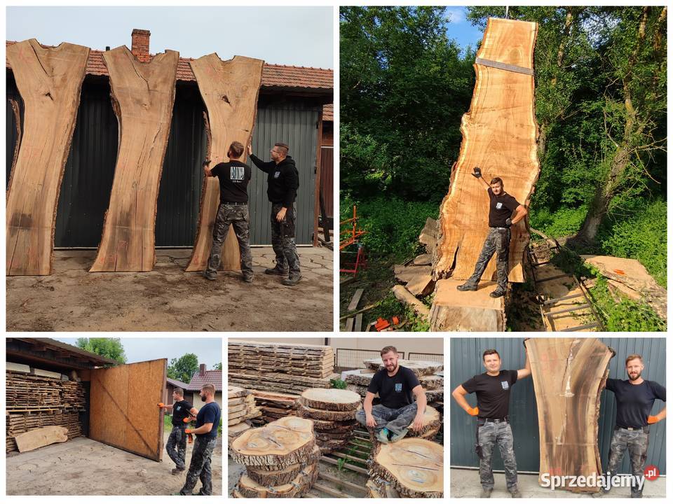 Drewno ozdobne orzech włoski topola wiąz Plastry Trześń