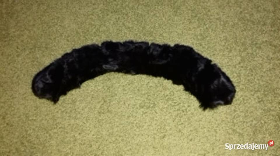 Kołnierz naturalny mazowieckie Warszawa sprzedam