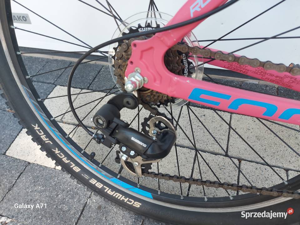 Rower górski FOCUS RAVEN ROOKIE SHIMANO dolnośląskie Jelenia Góra sprzedam