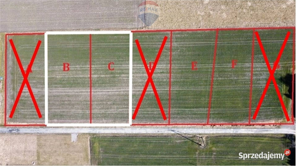 Działka budowlana w Zaborzu Sprzedaż Zaborze sprzedam