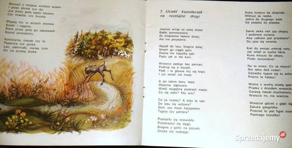 O poznańskich koziołkach Tadeusz Kraszewski Książki i Podręczniki lubelskie Chełm