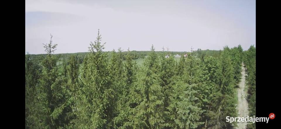 Działka bud 1202M2 WZ STUDNIE mazowieckie sprzedam