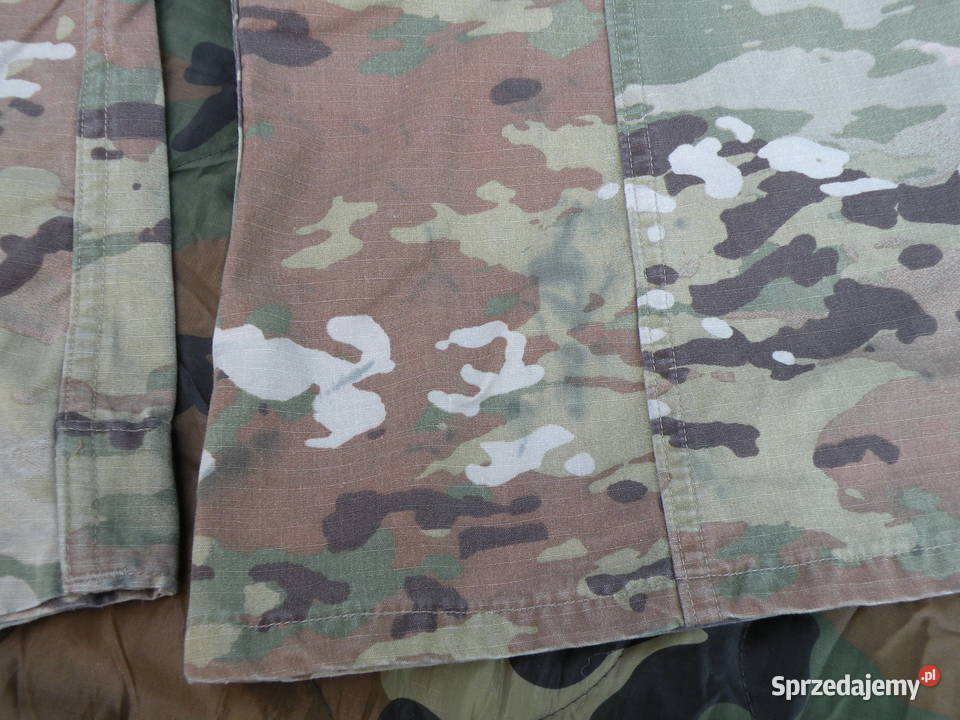 Bluza ACU multicam OCP 30 regular Female dolnośląskie Wrocław