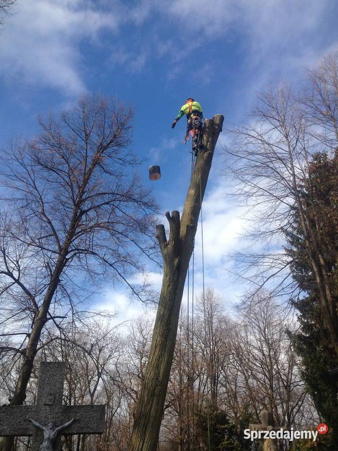 Mulczowanie karczowanie działek mulczer leśny Bochnia