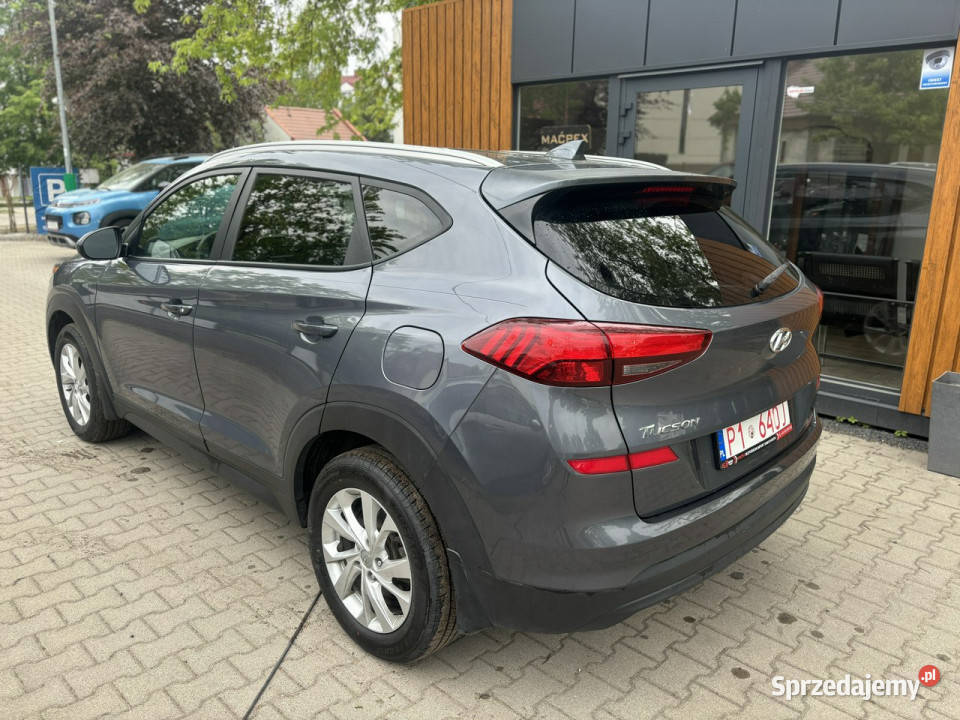 Hyundai Tucson Bezwypadkowy FV23 III 20152020 Poznań sprzedam