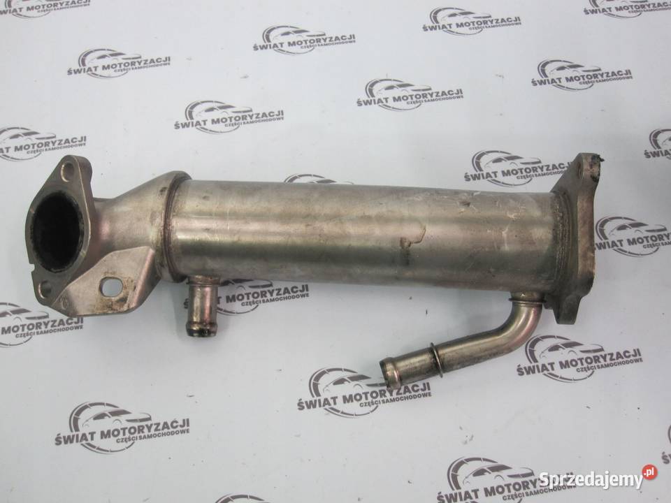 FORD TRANSIT MK8 22 TDCI EURO CYR5 115 świętokrzyskie