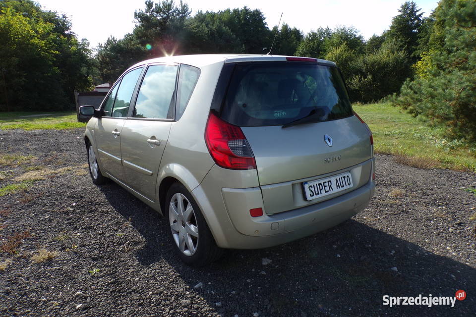 Renault Scenic II 19 DCi 130 Ładny Stan wielkopolskie