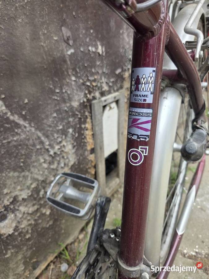 Męski rower trekkingowy KROSS Trekkingowe wielkopolskie Zaborowice