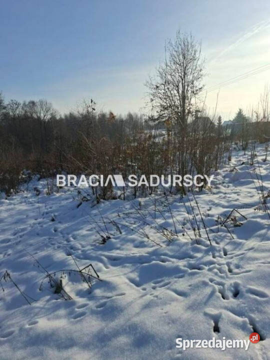 Grunt Wieliczka 2700m2 159zł/m2