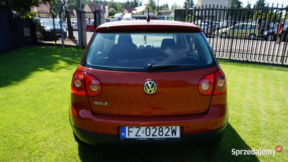 Volkswagen Golf super stan Gwarancja V 20032008 80KM Zielona Góra