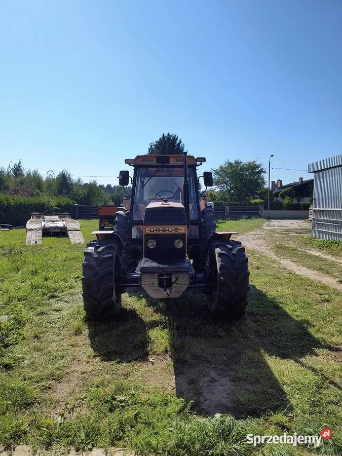 sprzedam ciągnik URSUS 1224 stan idealny pomorskie Kębłowo sprzedam