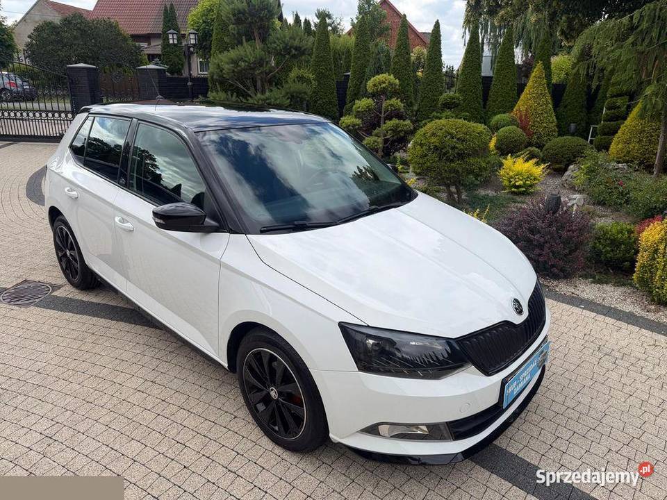 Skoda Fabia 14 TDI Monte Carlo 90 2019r Możliwa Krotoszyn