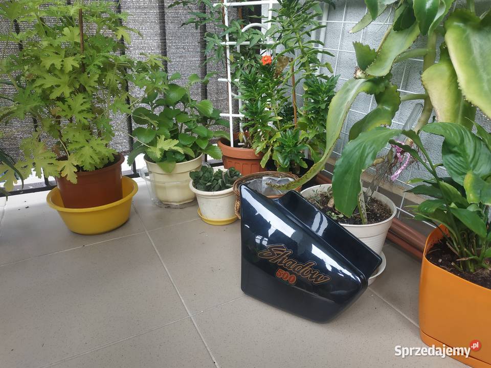 HONDA Shadow VT 500 Lewy boczek RARE podkarpackie sprzedam