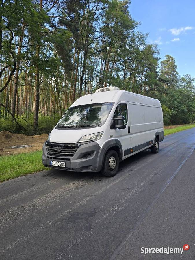 Fiat Ducato 23 Mutijet 2016r chłodnia FV23 welurowa tapicerka Fiat