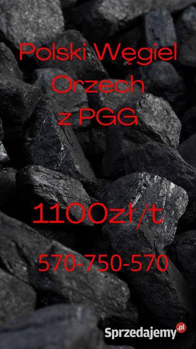 Węgiel Orzech 1100 zl / tona - POLSKI Opał z PGG