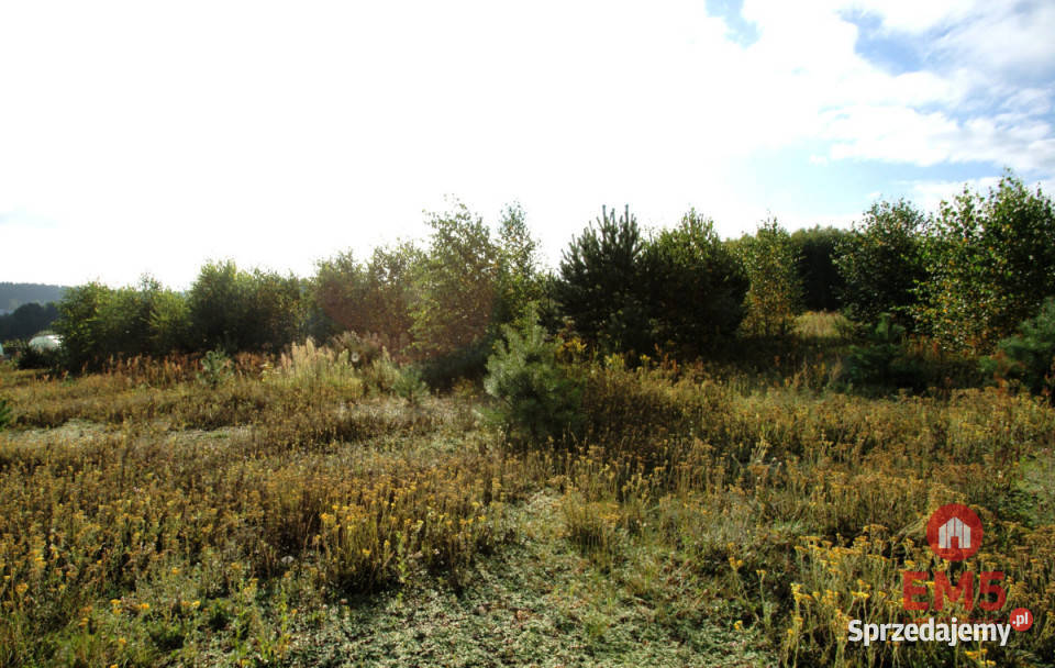 Działka 2806m2 Klimki 101zł/m2 Grunty i działki