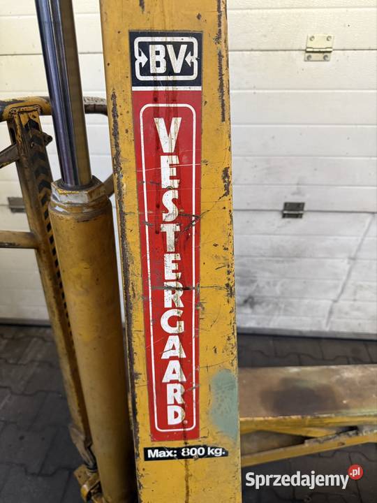 Paleciak Wysokiego Podnoszenia Wózek Paletowy Motoryzacja śląskie Kłobuck