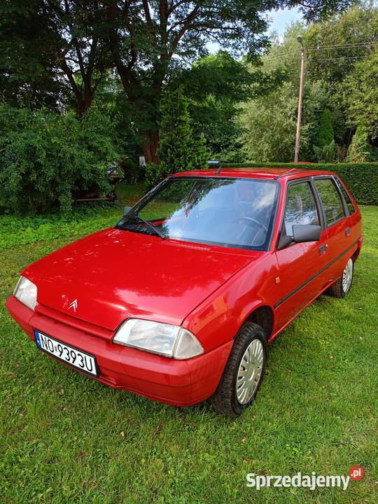 Citroen AX 1993