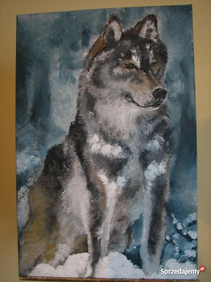 Obraz olejny 40 x 60 Zimowy wilk Lublin