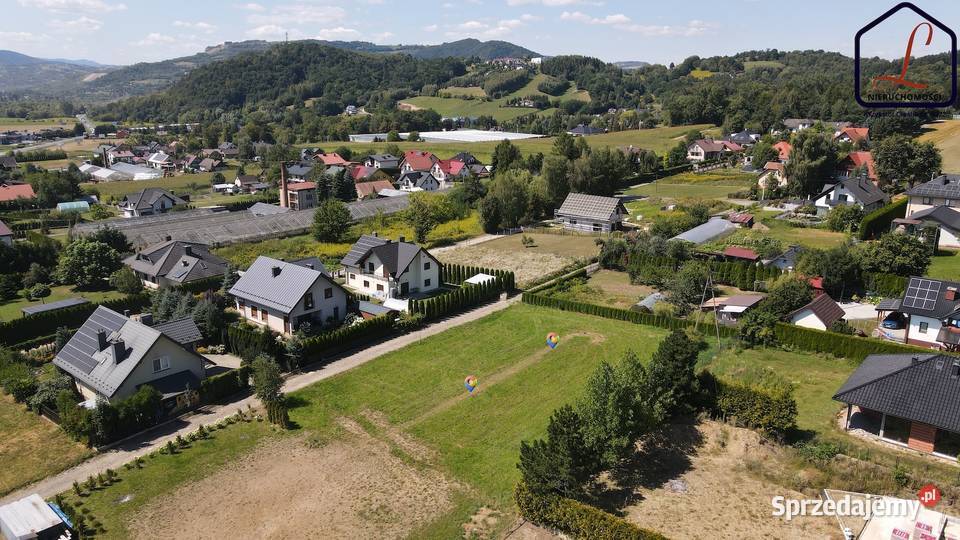 Działki o pow 8 ar Dąbrowa gm Chełmiec 800m2