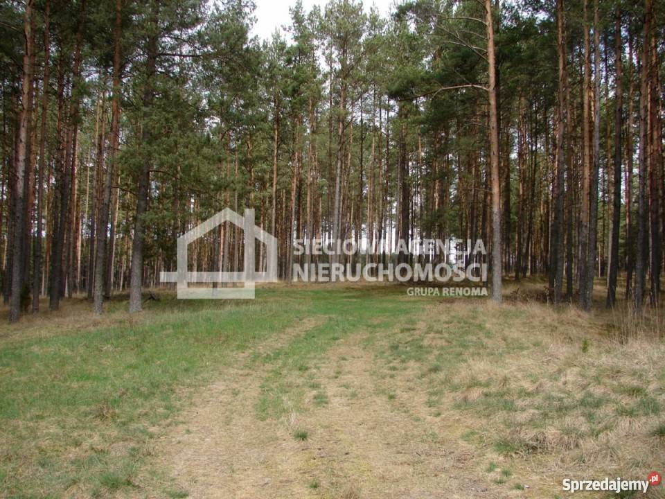 Sprzedaż działki 165900m2